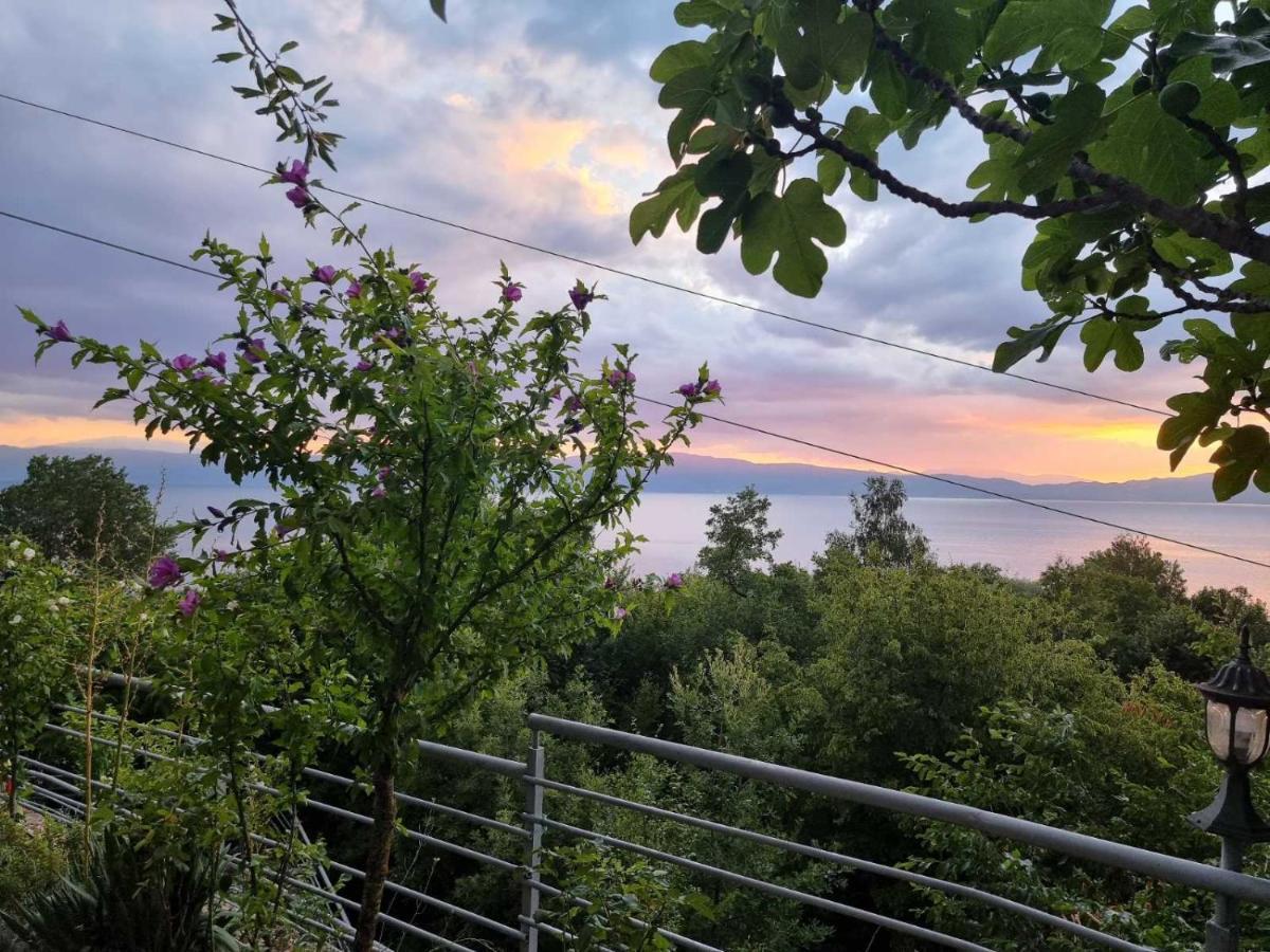 Vila Anastas Οχρίδα Εξωτερικό φωτογραφία